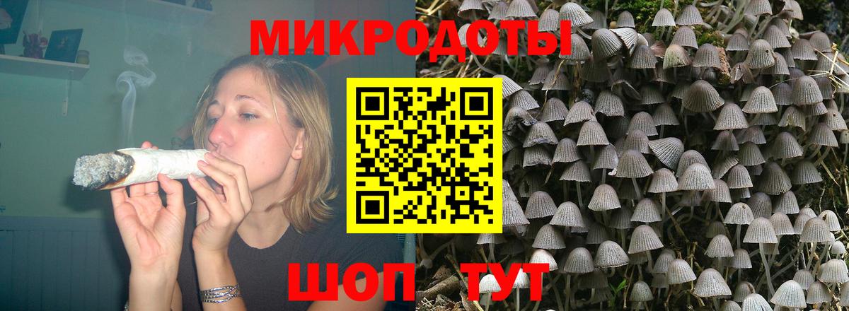 дарнет шоп  Псилоцибиновые грибы Psilocybe  Вход с VPN  Тулун  Псилоцибиновые грибы Psilocybe 